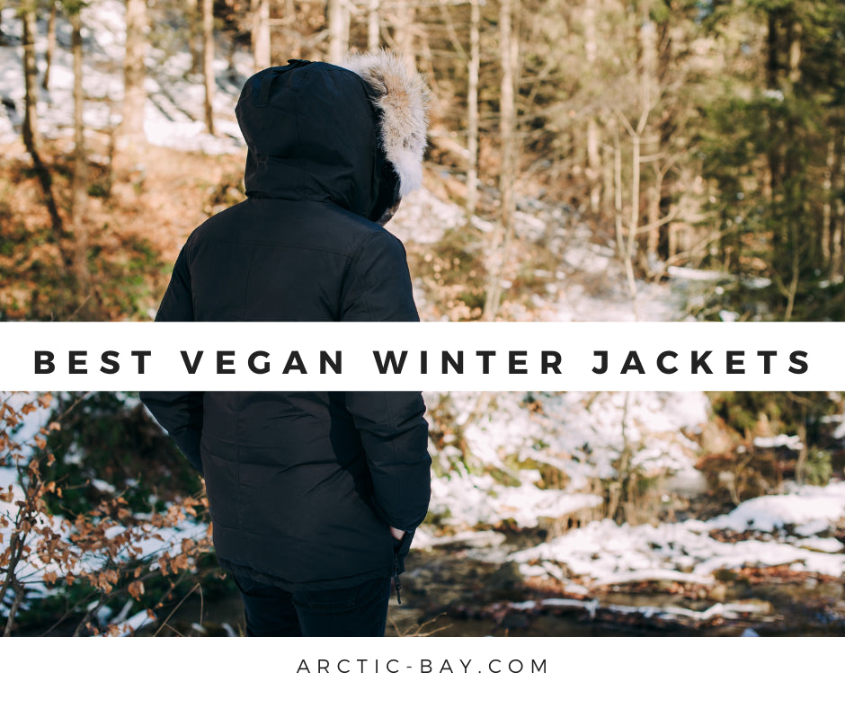 Best Vegan Winter Jackets