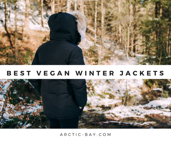 Best Vegan Winter Jackets Arctic Bay