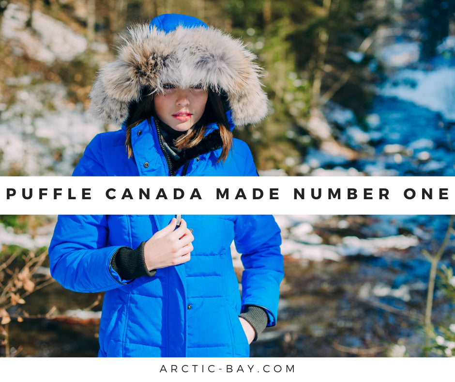 Puffle Canada Made Number One